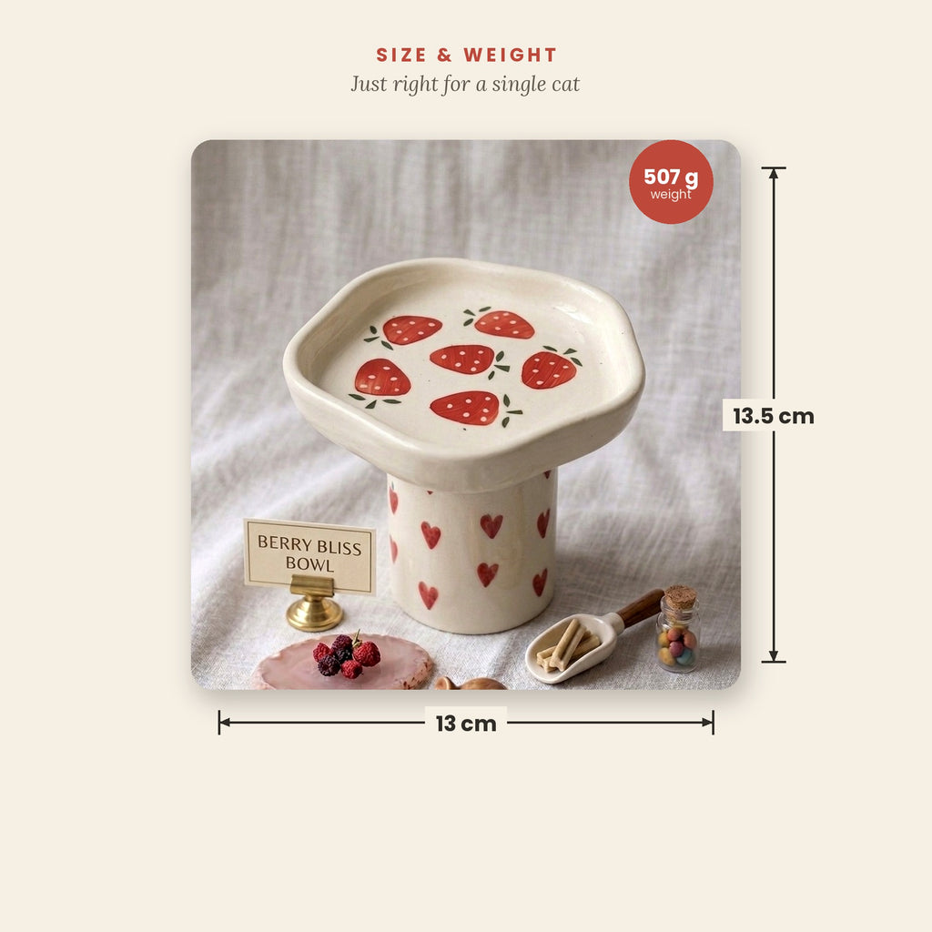 Cat bowl with strawberry design and measurements on a light background