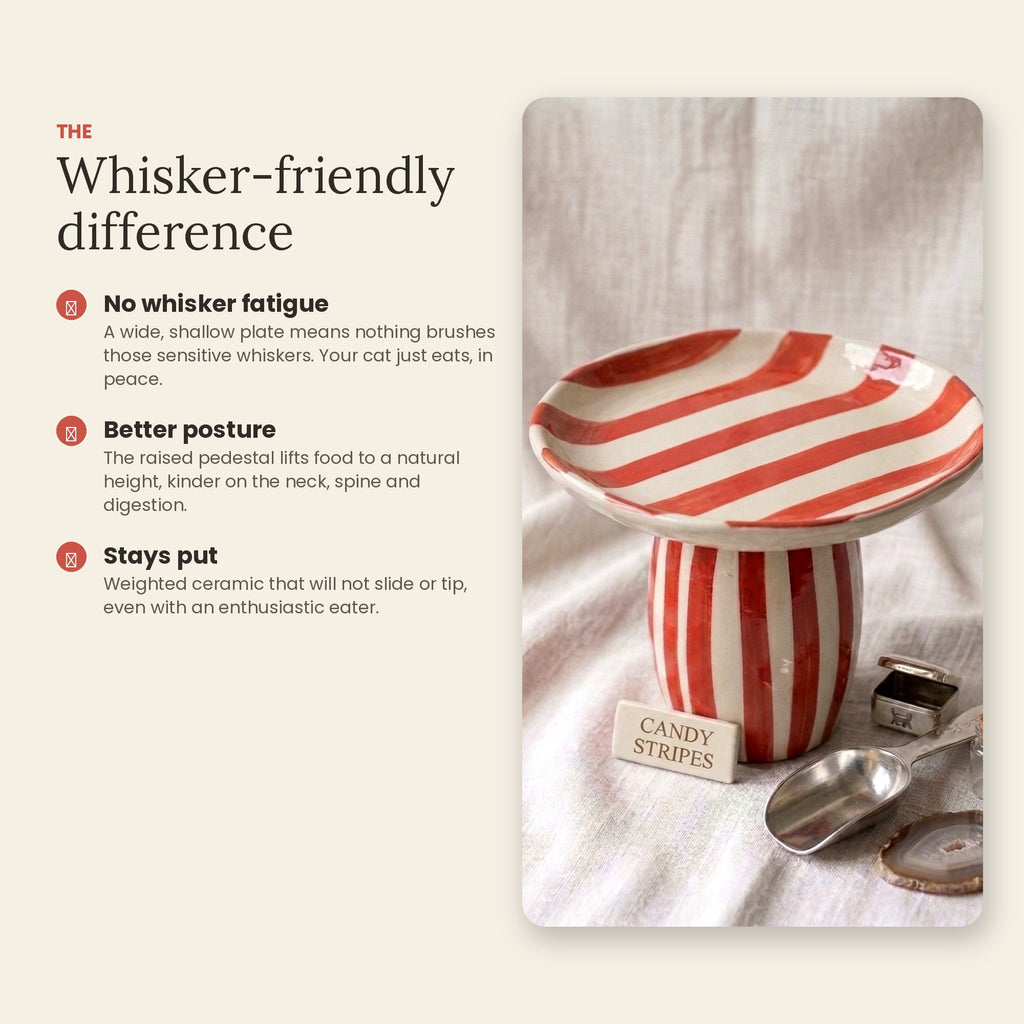 Candy Stripes Bowl
