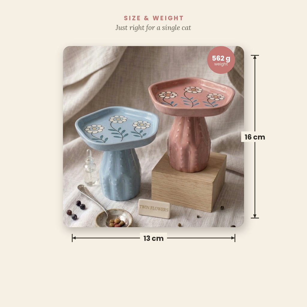 Twin Flowers Bowl, hand-painted and whisker-friendly design features