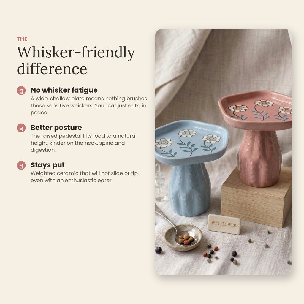 Whisker-friendly wide shallow dish design